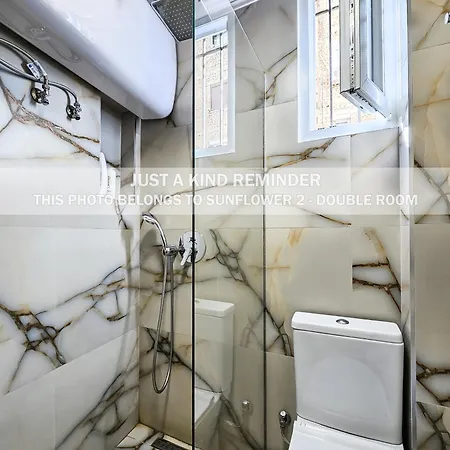 公寓 Sunflower 地拉那