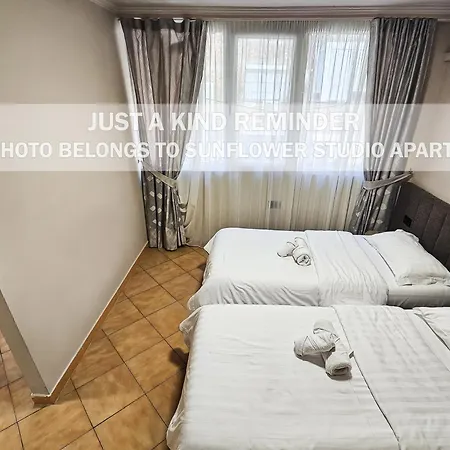 Sunflower Apartment *